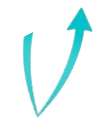 une courbe qui remonte et qui forme un V de Vladan consultant SEO Noisy le grand
